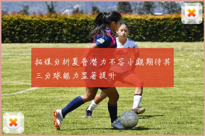 拓媒分析夏普潜力不容小觑期待其三分球能力显著提升