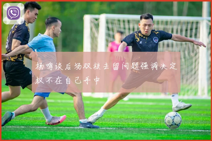 杨鸣谈后场双核去留问题强调决定权不在自己手中